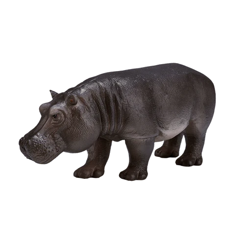 Mojo Female Hippopotamus
