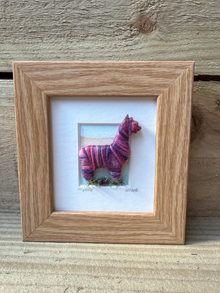 Truly Trossachs Woolly Alpaca Mini Boxed Pictures - Multi-Coloured