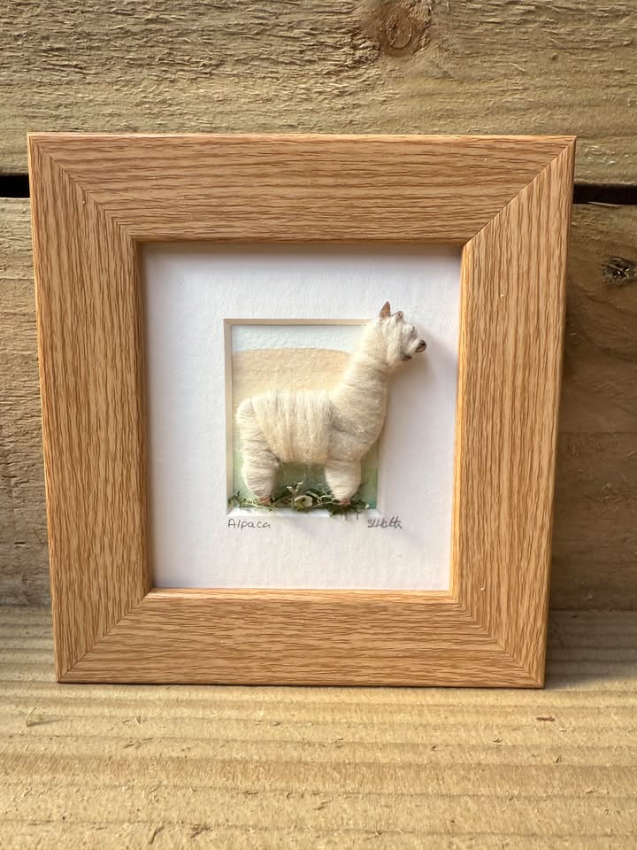 Truly Trossachs Woolly Alpaca Mini Boxed Picture - Natural Blend