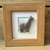 Truly Trossachs Woolly Alpaca Mini Boxed Picture - Natural Blend