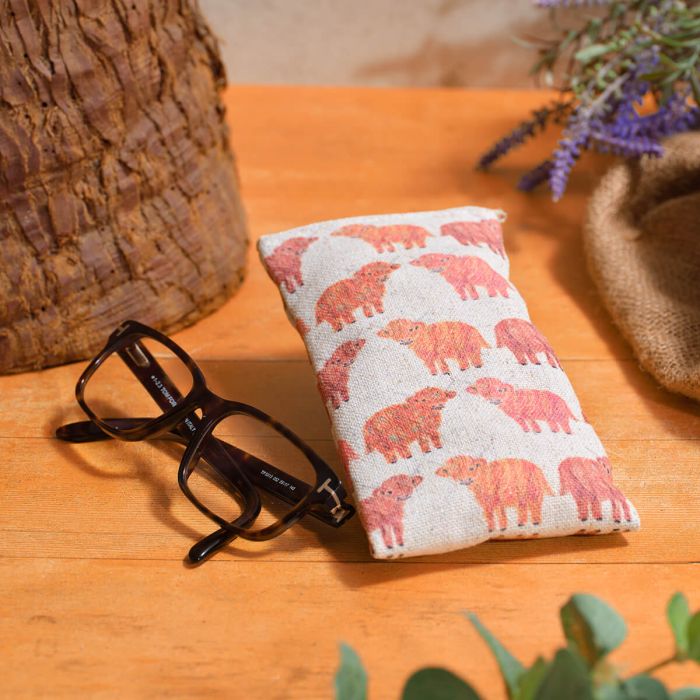 Rainbow Coo Repeat Print Glasses Case