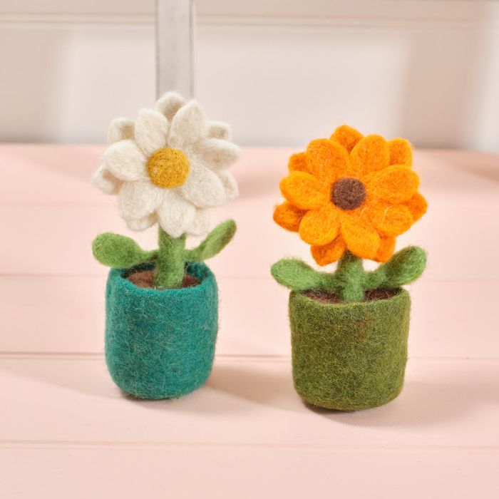 Love & Kindness Flower in Pot