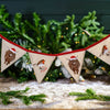 Frosted Highland Cow and Robing Embroidered Bunting