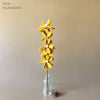 Wool Felt Yellow Daisy Branch