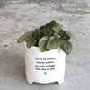 'You are my sunshine' Planter