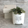 'You are my sunshine' Planter
