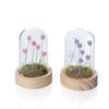 Floral Serenade Glass Dome with 6 Tulips LED Ornament