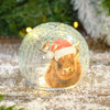 Frosted Highland Cow Crackle Ball LED