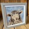 Needle Felt Sheep Framed Picture