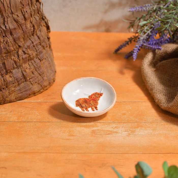 Highland Coo Rainbow Stoneware Trinket Dish