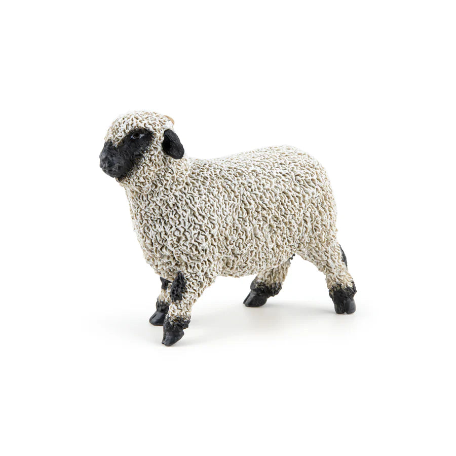 PAPO Valais Black Nose Sheep