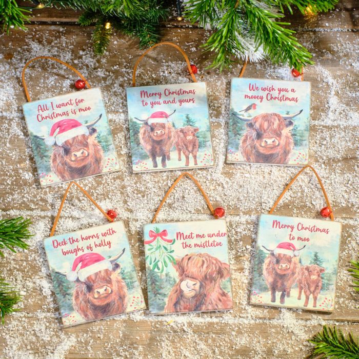 Frosted Highland Cow Wooden Hanger with Bell