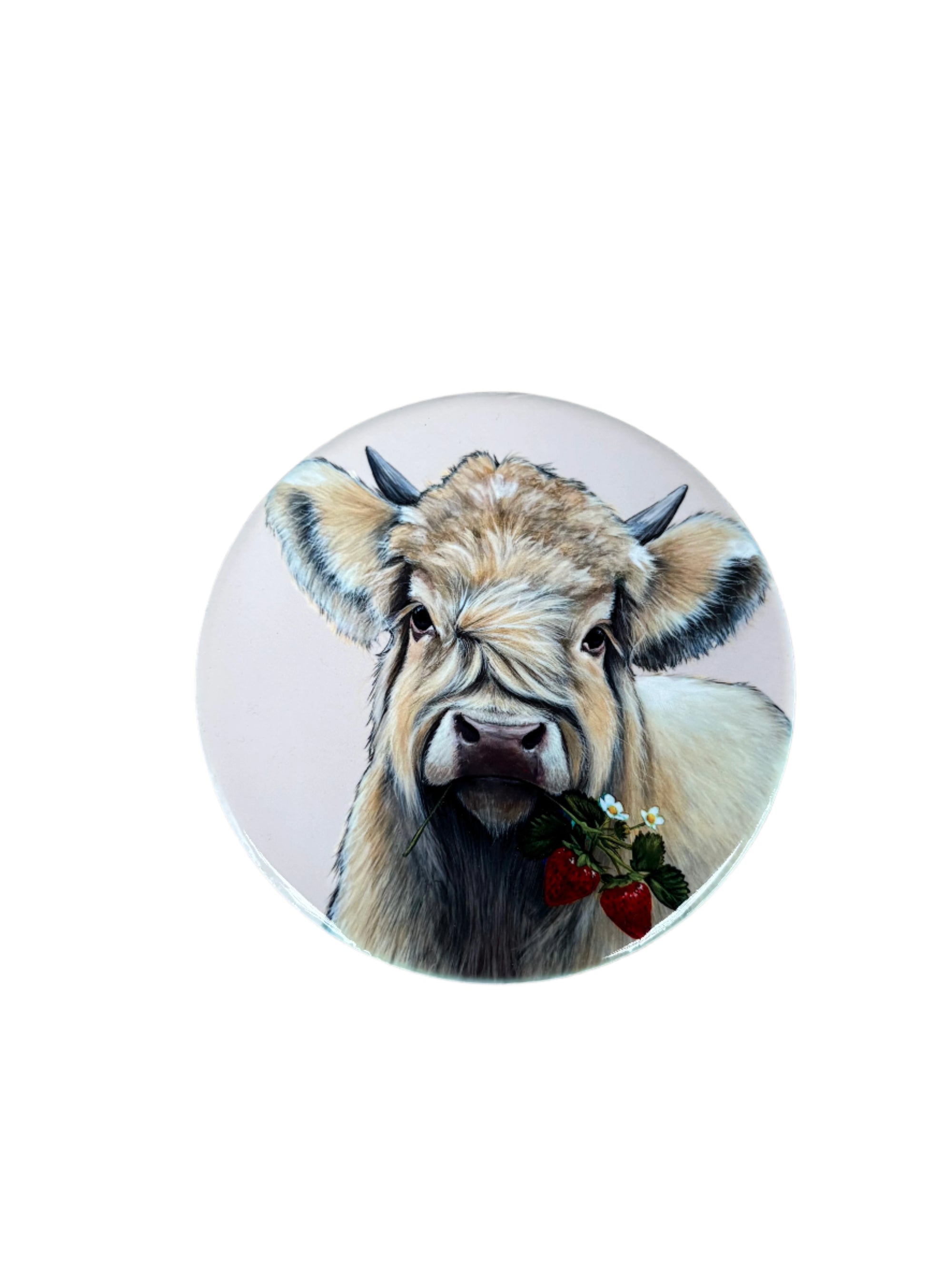 Jan Laird Ceramic Coasters