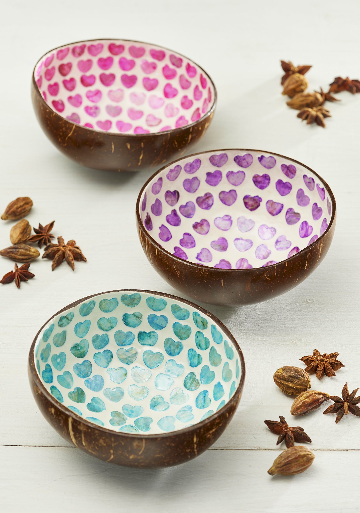 Coconut Shell Bowl with Coloured Hearts
