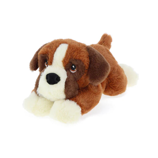 Keel Brown and White Boxer Puppy
