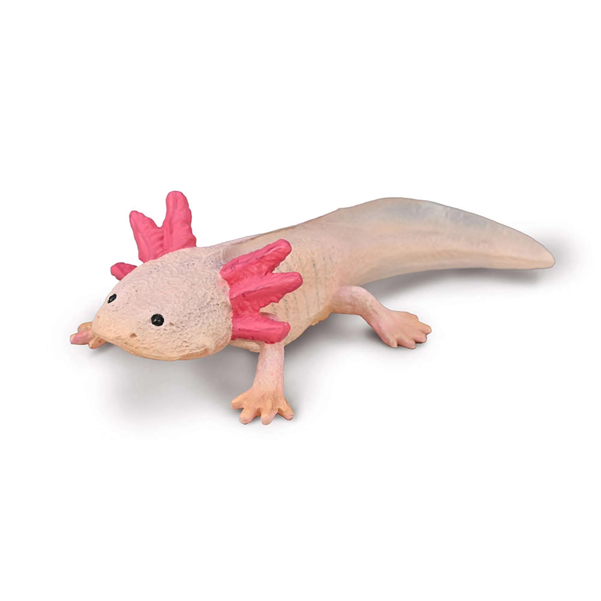 COLLECTA Axolotl