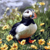 Figured'Art Puffin Diamond Art Kit