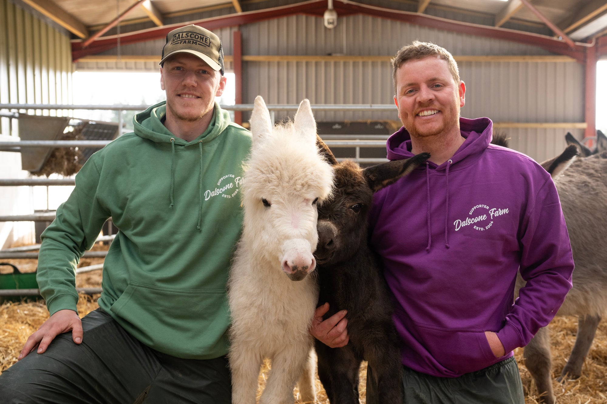 Dalscone Supporters Hoodie