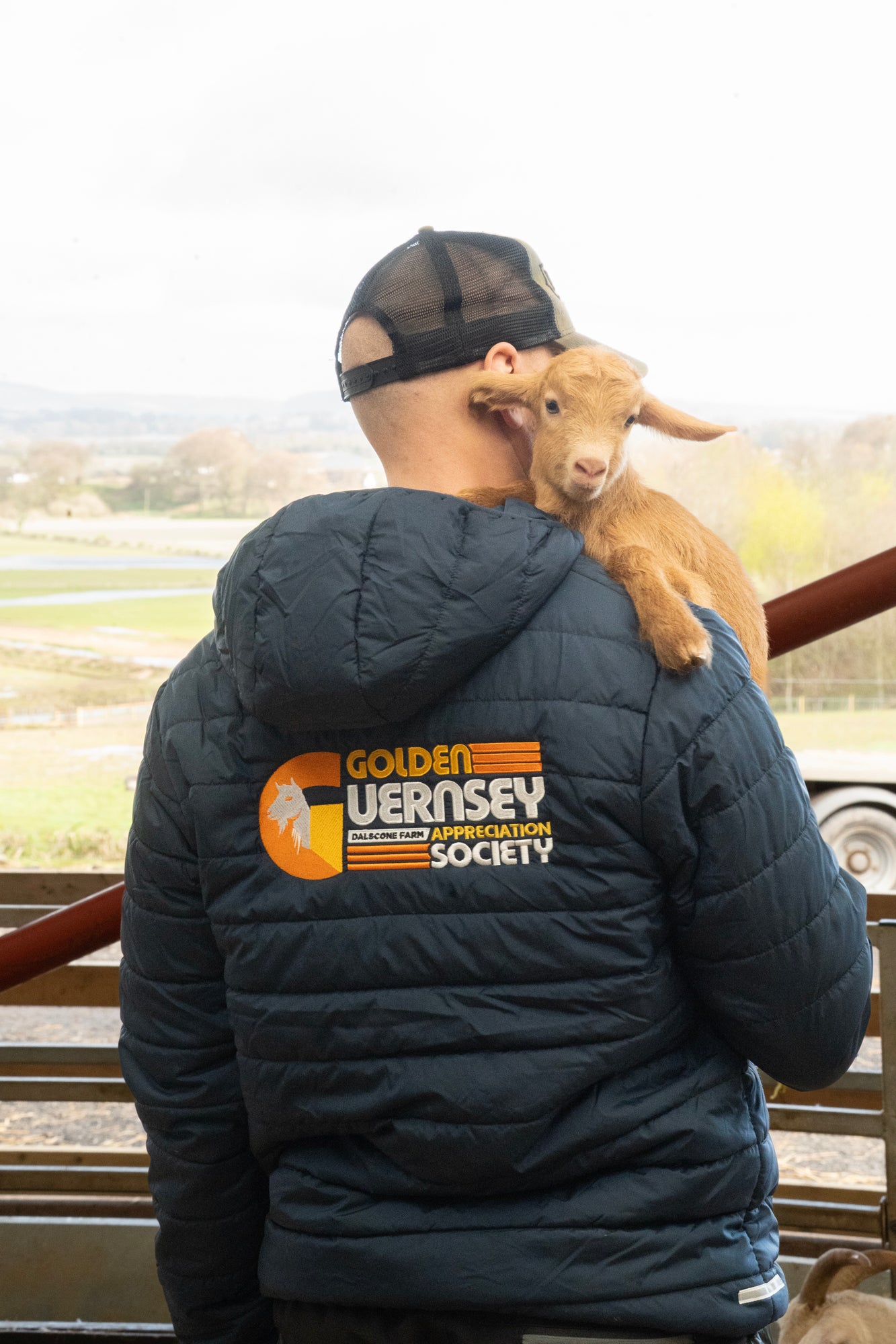 Dalscone Golden Guernsey Jacket *PRESALE* Shipped W/C 27/4