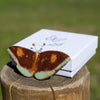 Handmade Ceramic Butterfly