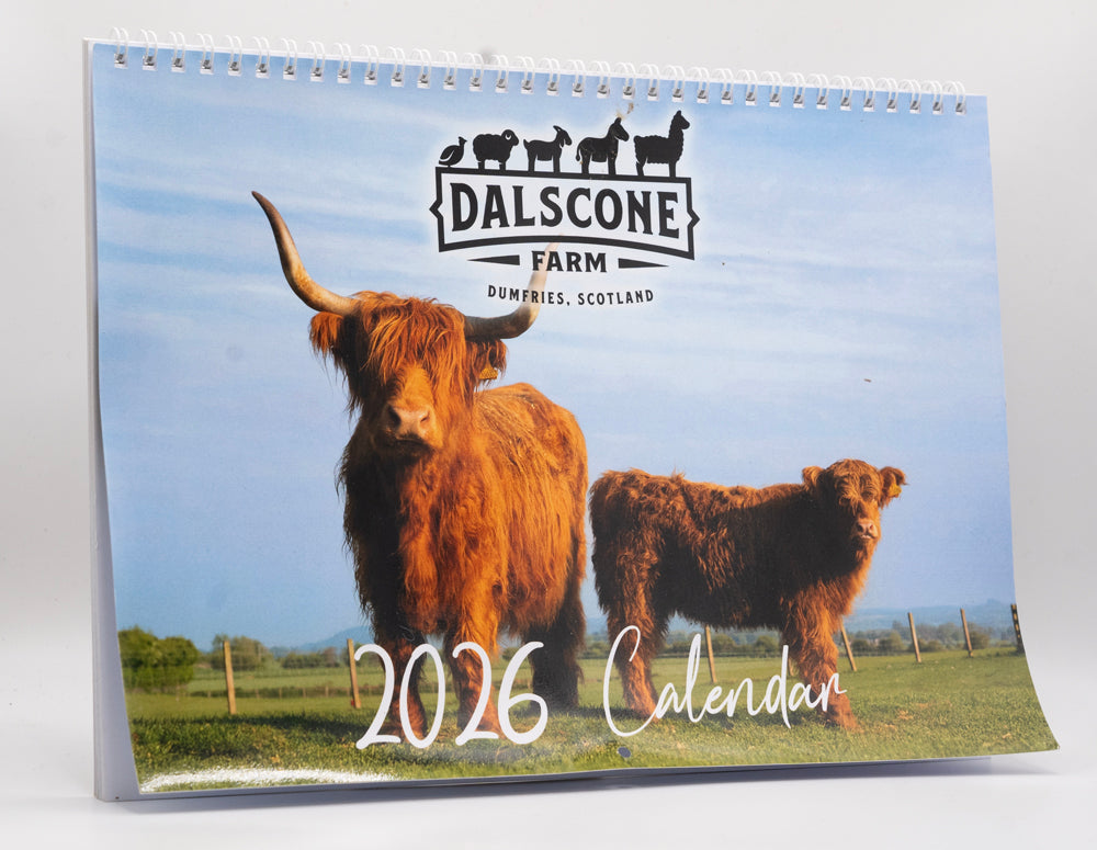 Dalscone Official 2026 Calendar