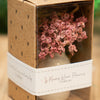 Dried Tiny Flower Vase