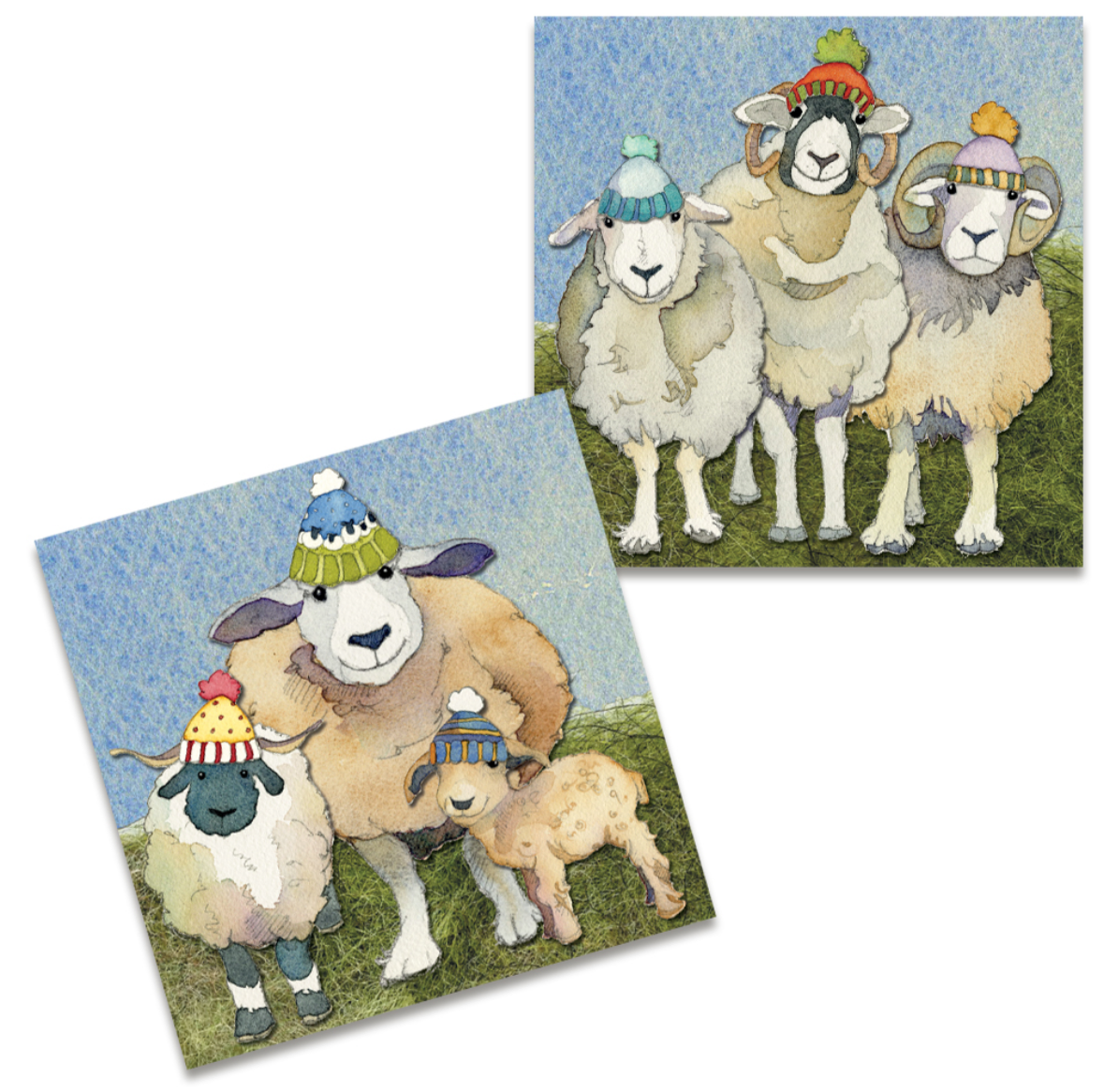 Happy Sheep Pack of 10 Minicard