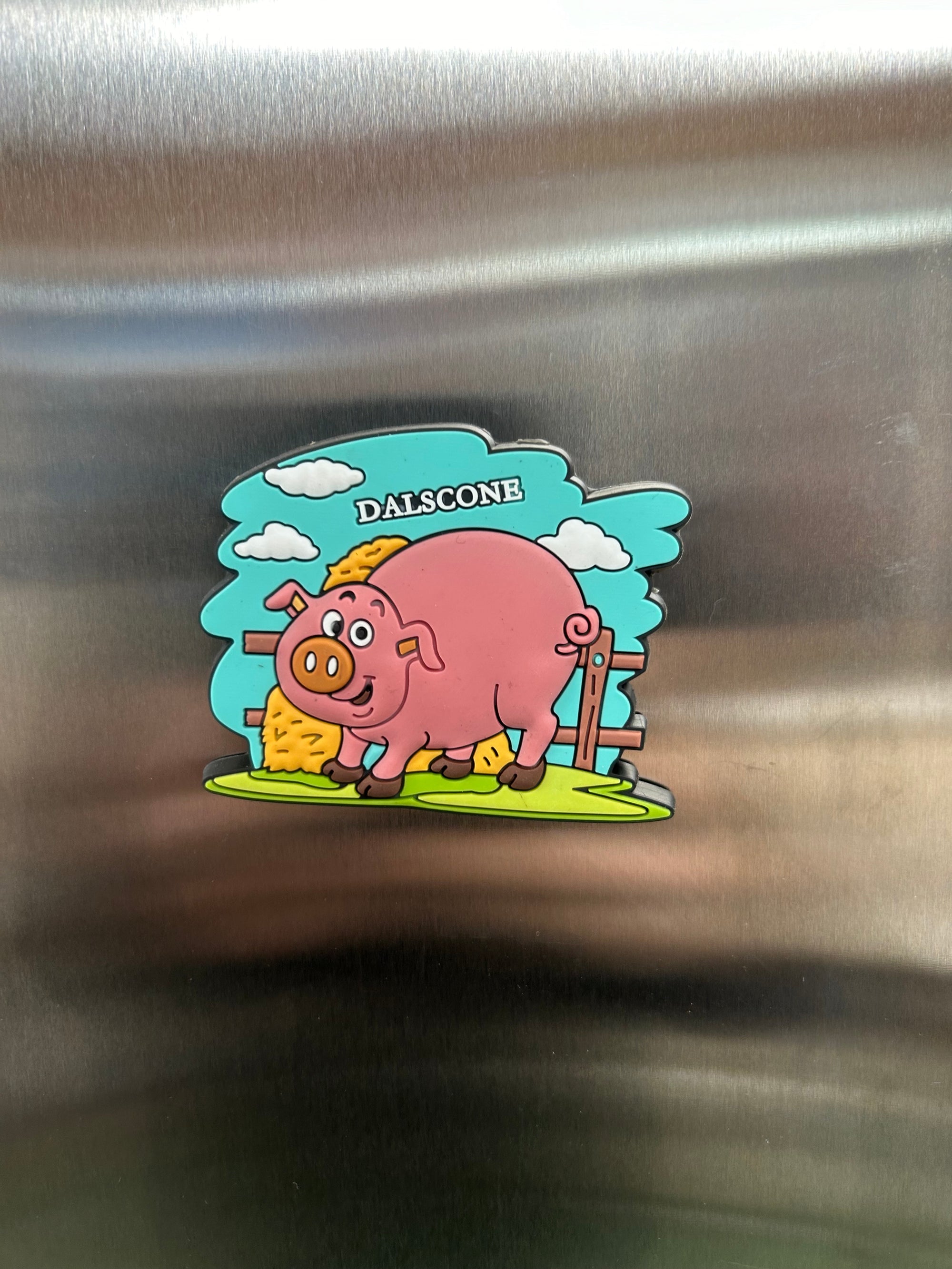 Dalscone Farm - Animal Fridge Magnets