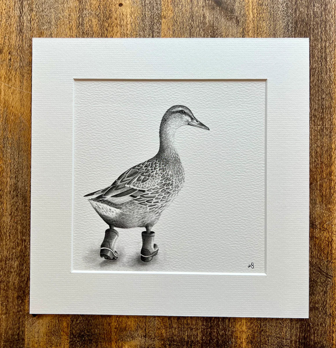 Runaway Duck Mounted Print