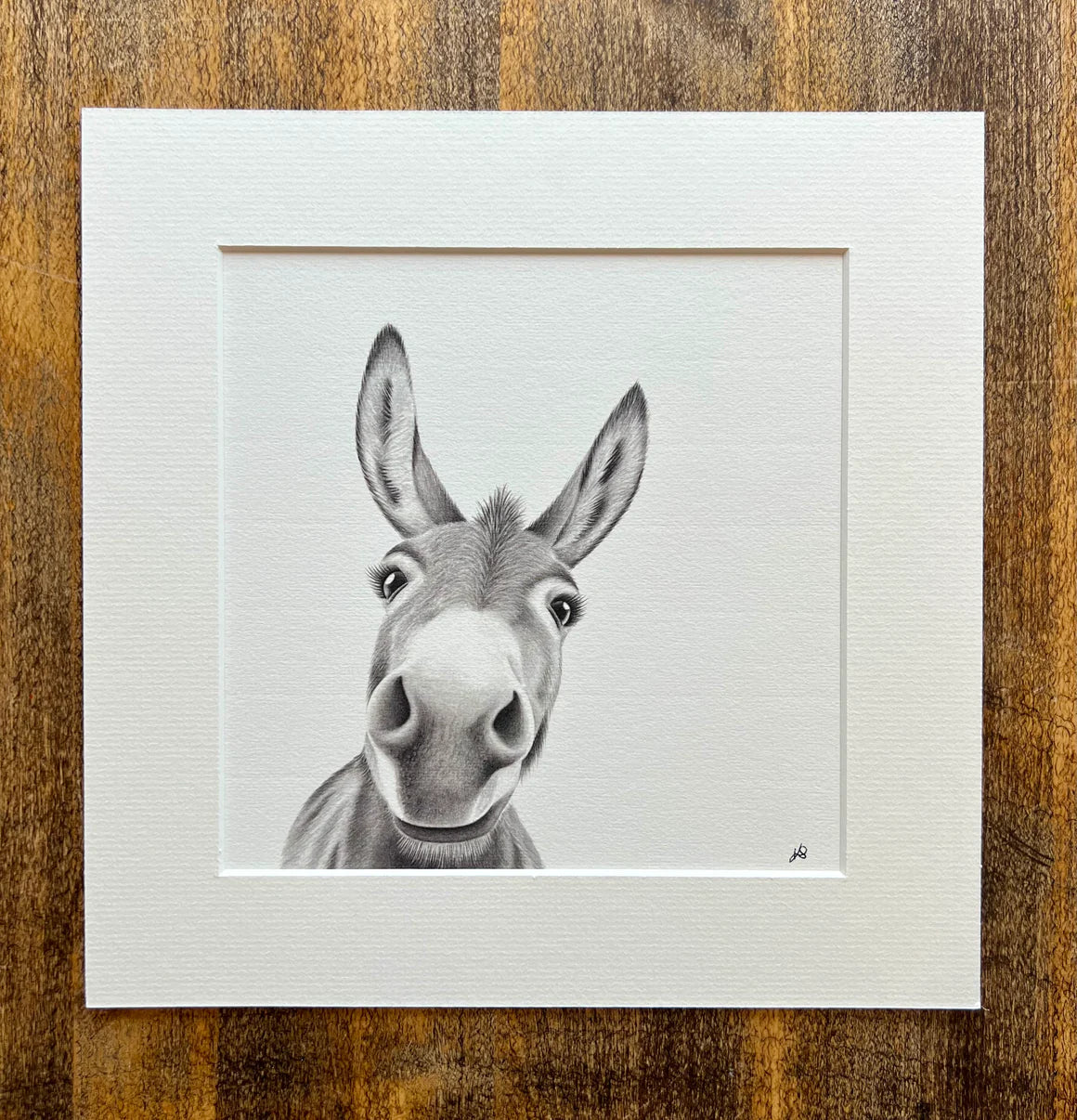 Doris Donkey Mounted Print