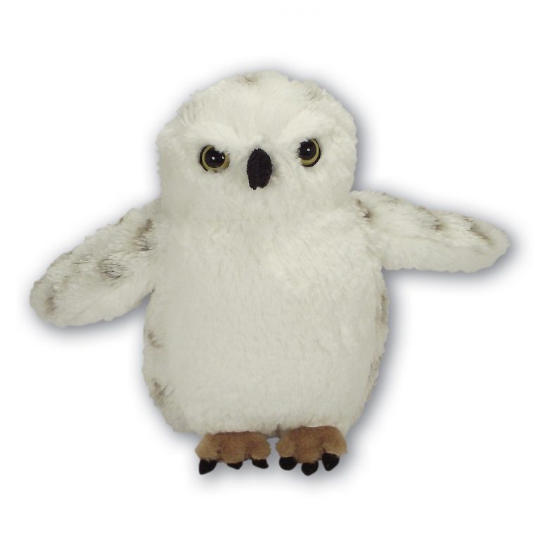 Fluffy Snowy Owl with Beans