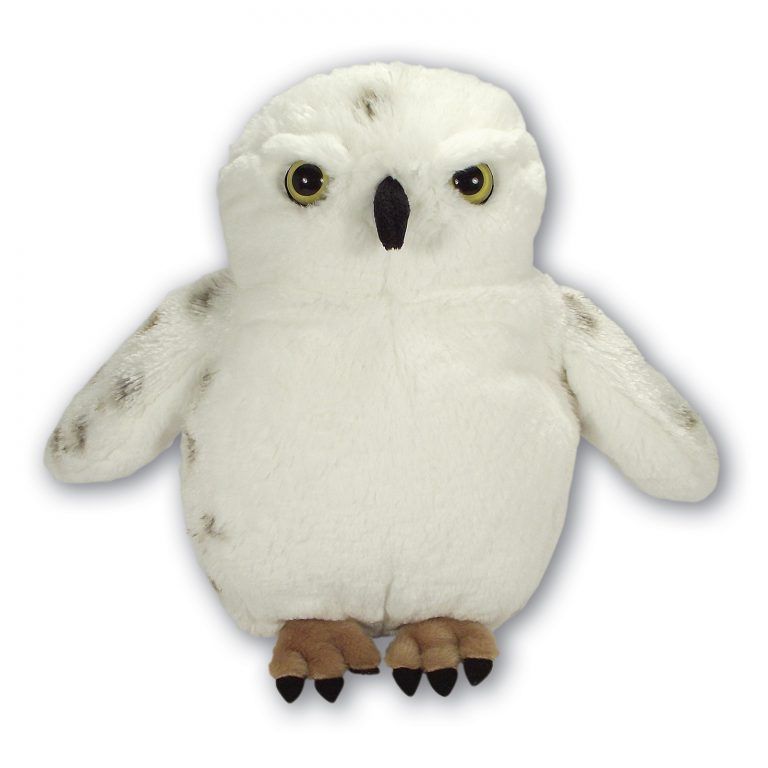 Fluffy Snowy Owl with Beans