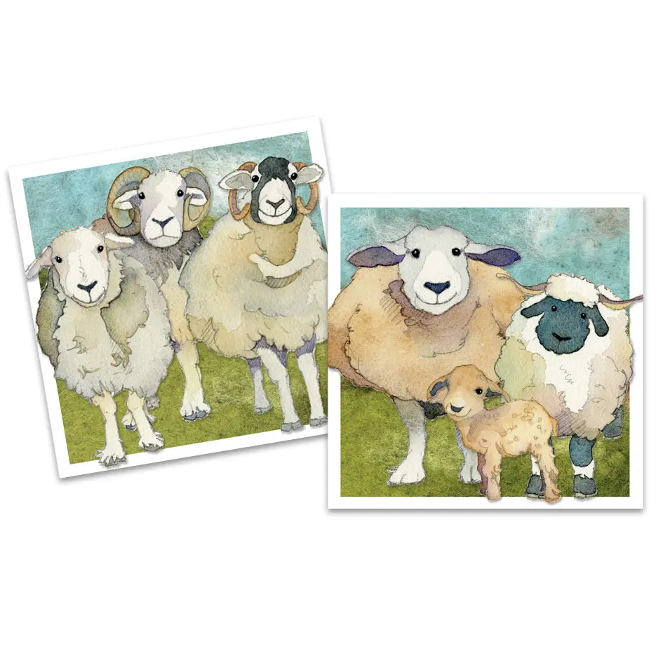Felted Sheep Mini Card Pack