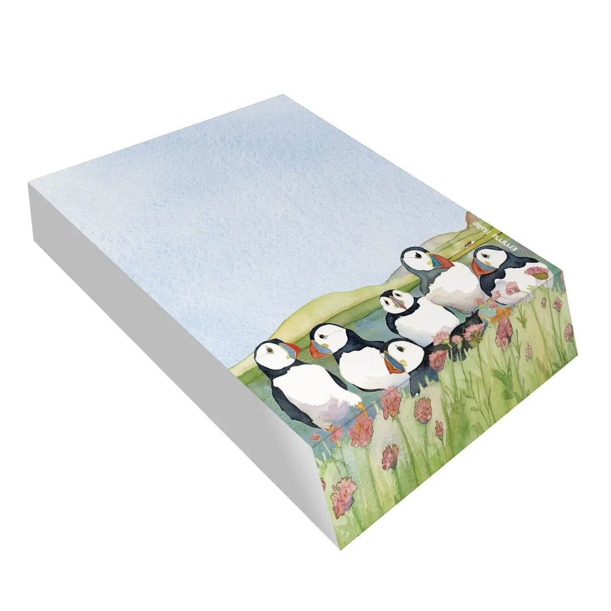 Puffin Slant Pad
