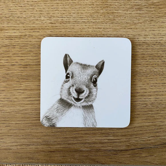 Katherine Sheard Animal Coasters