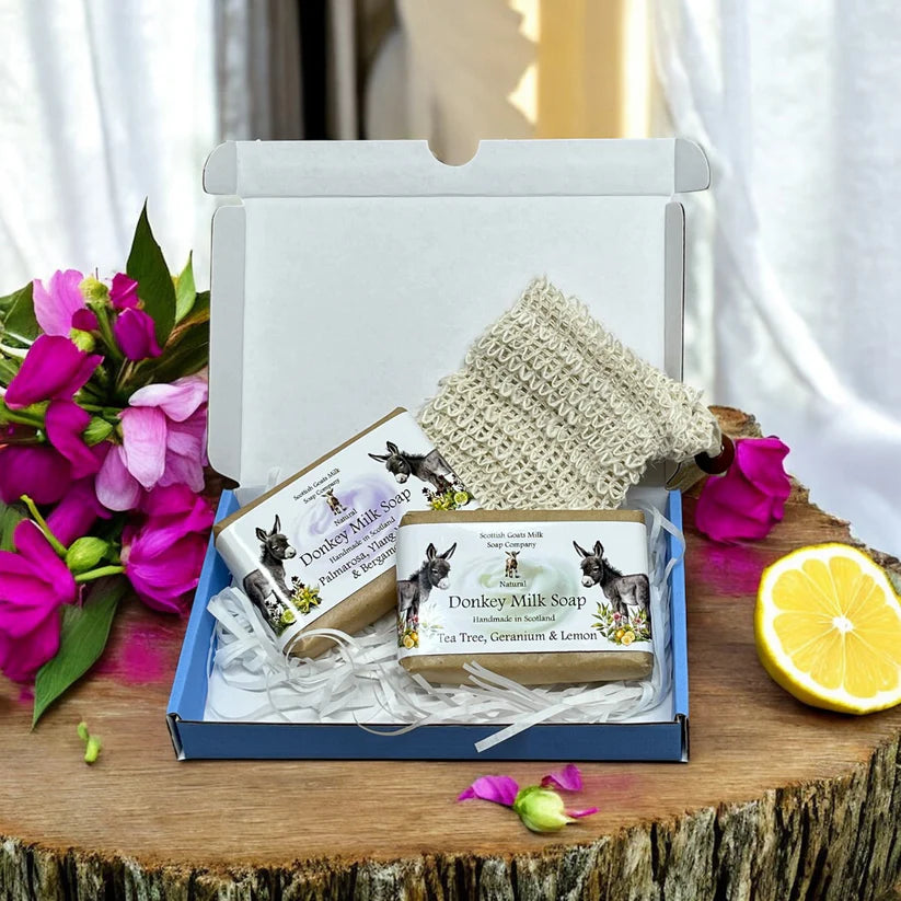 Donkey Milk Soap - Gift Box of 2
