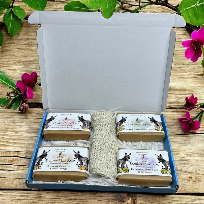 Donkey Milk Soap - Gift Box of 4