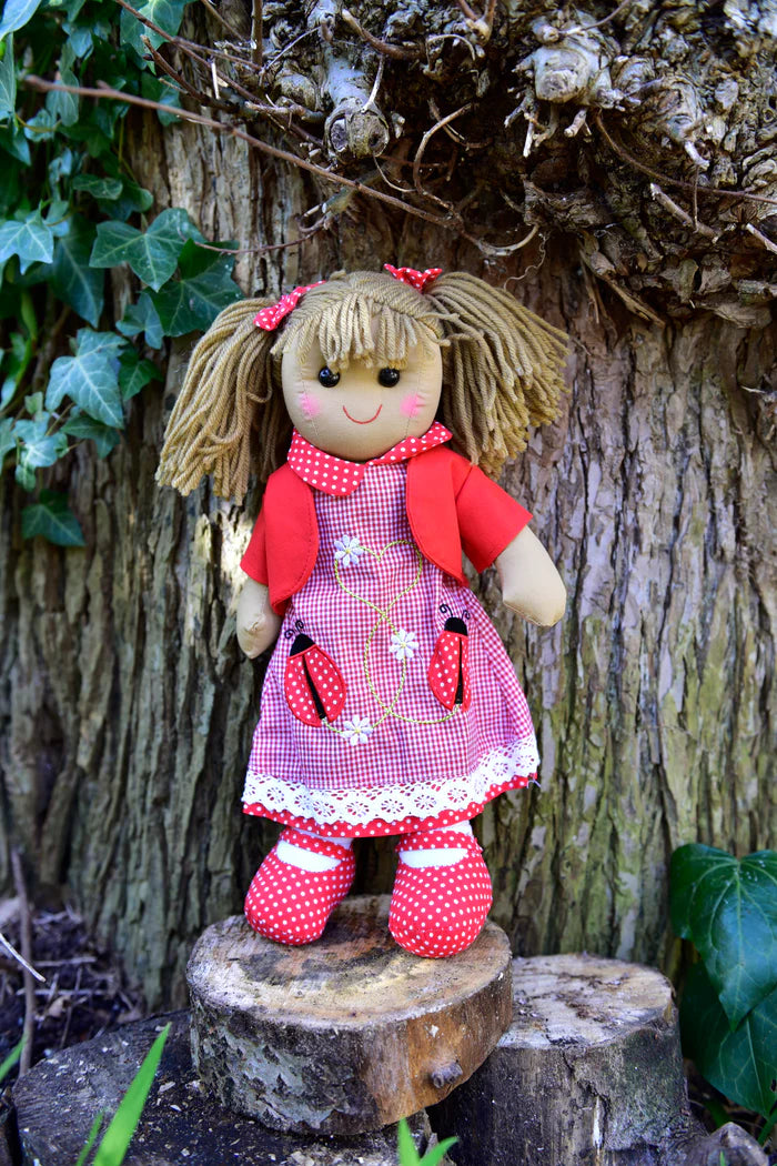 Rag Doll with Embroidered Lady Bird Dress