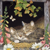 Cobble Hill 500 Piece Jigsaw Puzzle