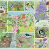 Cobble Hill 500 Piece Jigsaw Puzzle