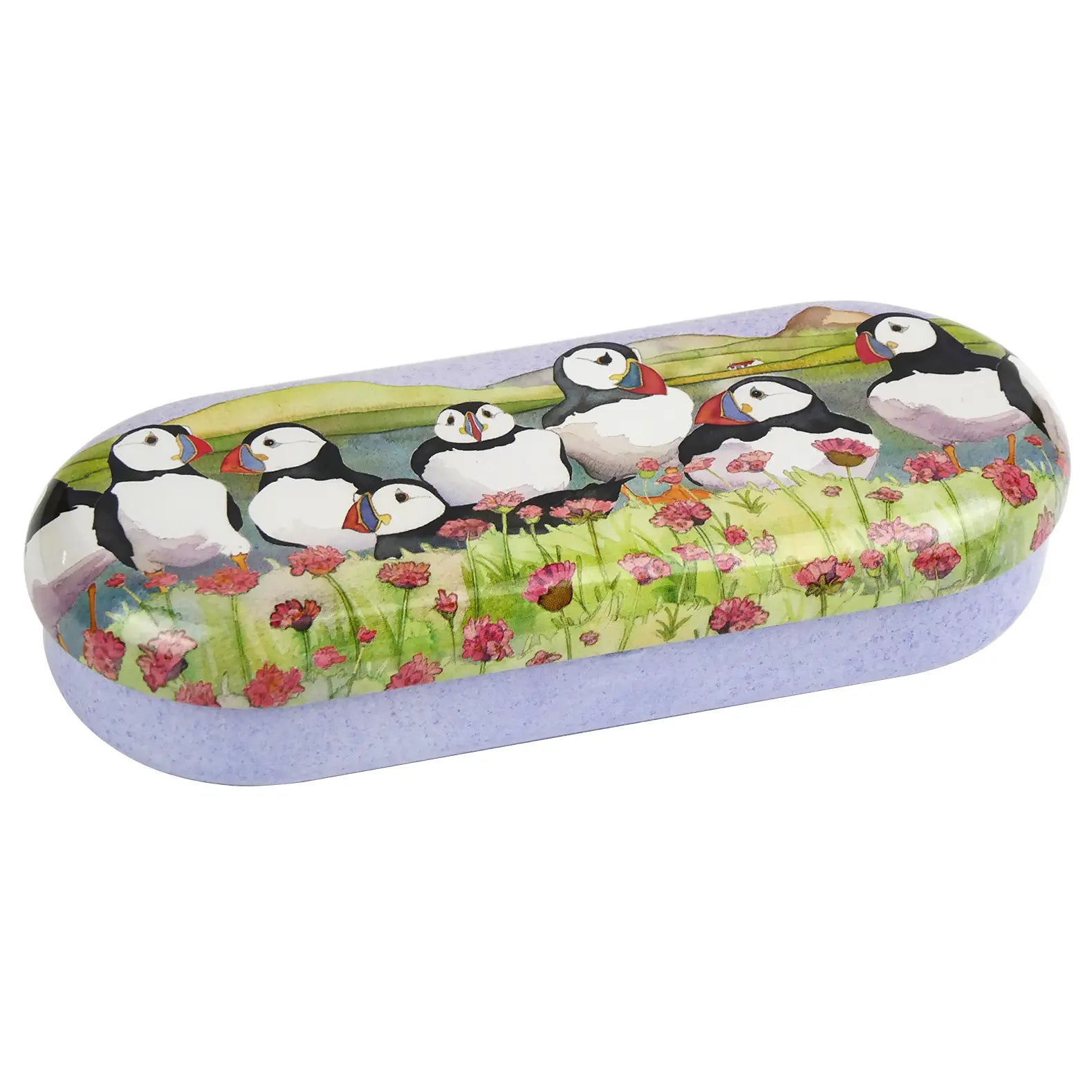 Puffin Glasses Case