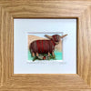 Truly Trossachs Highland Cows Mini Boxed Picture