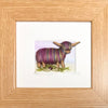Truly Trossachs Highland Cows Mini Boxed Picture