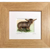 Truly Trossachs Highland Cows Mini Boxed Picture