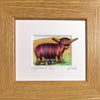 Truly Trossachs Highland Cows Mini Boxed Picture