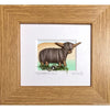 Truly Trossachs Highland Cows Mini Boxed Picture
