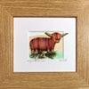 Truly Trossachs Highland Cows Mini Boxed Picture
