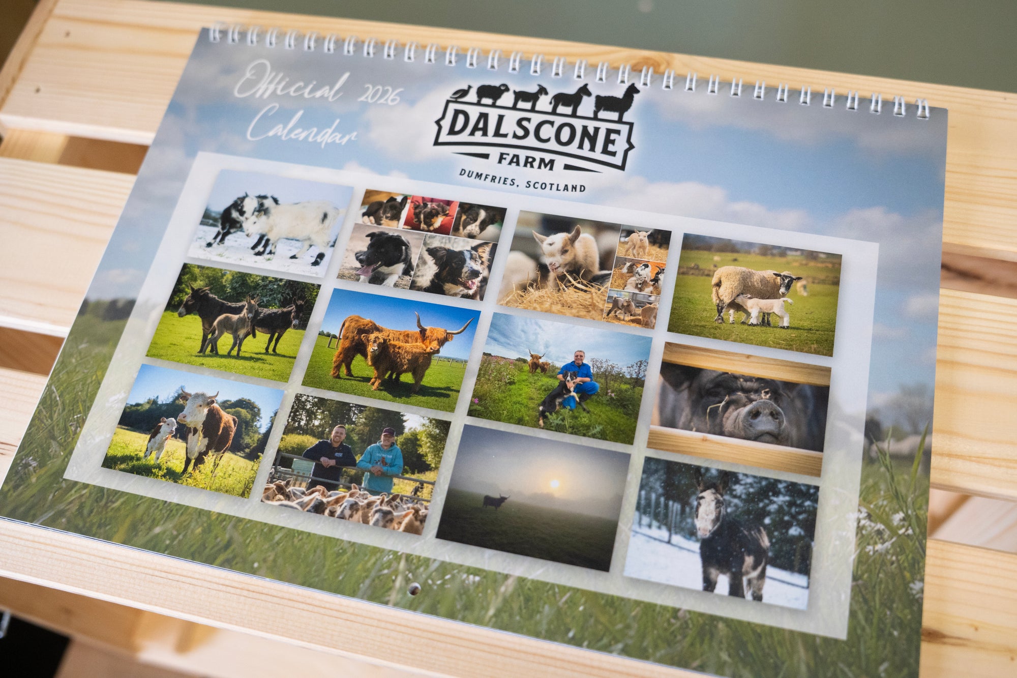 Dalscone Official 2026 Calendar