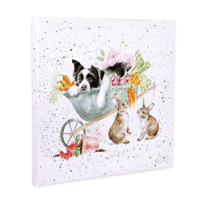Wrendale Designs 'Sleeping on the Job' Collie Canvas