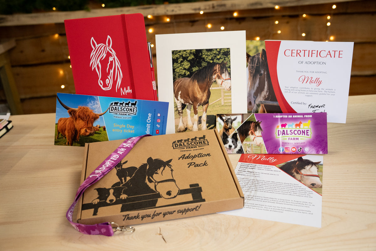 2027 Adoption Pack - Molly